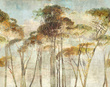 Panel Hymn Savanna