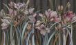 Fototapeta Kwiaty Amaryllis II