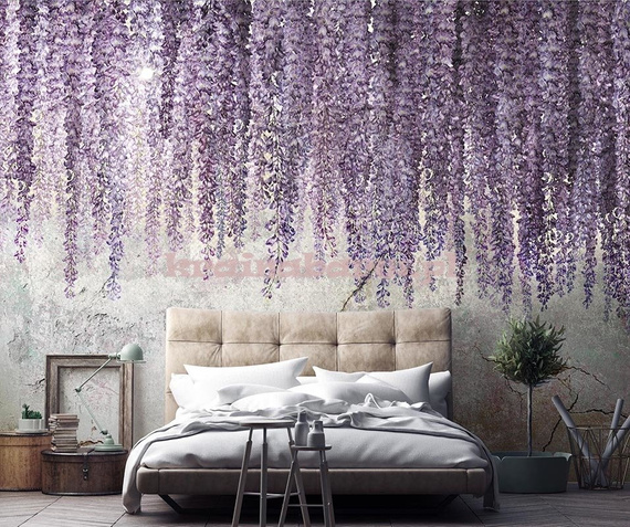 Fototapeta Wisteria zwisajace kwiaty 