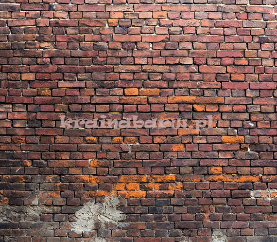 Fototapeta RE020005 CEGLANA ŚCIANA